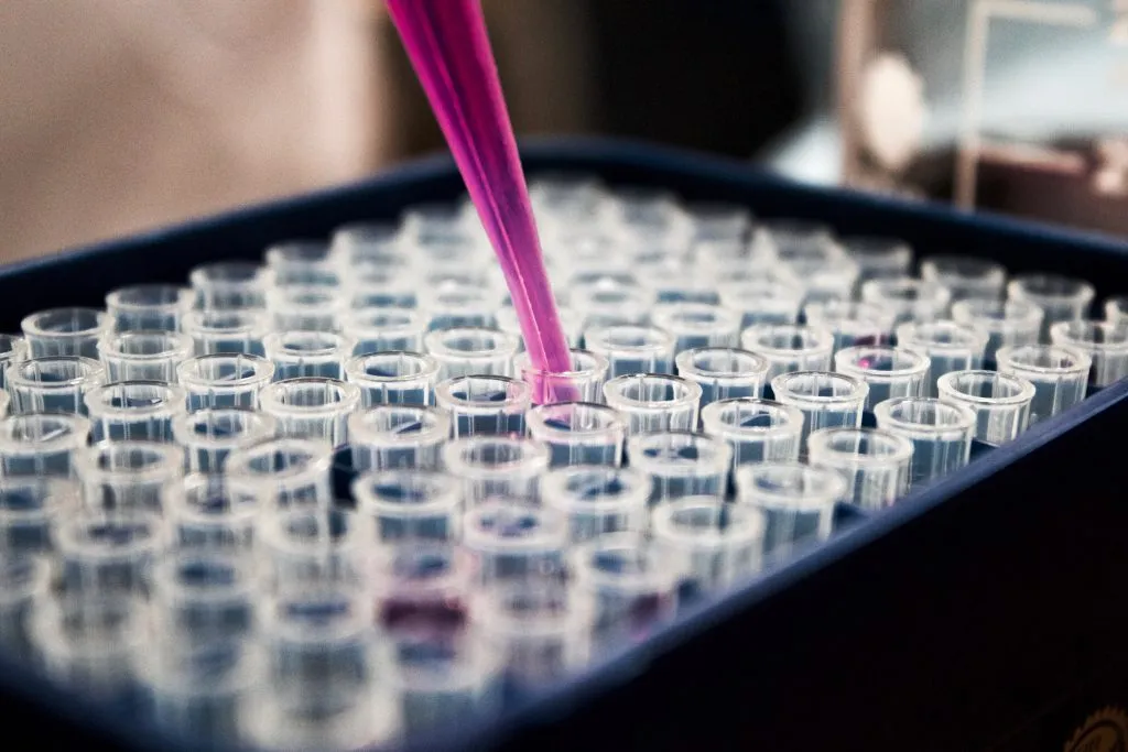 Laboratory glassware arranged on a bench